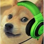 Doge Group The Best