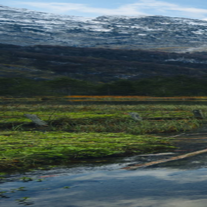 landscape long 1 Roblox decal