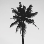 _L.A_