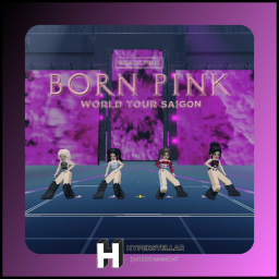 HS [BORN PINK WORLD TOUR] HCM CITY