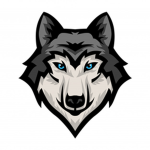 Support for the creation of the YT channel #######