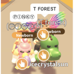 T Forest squad