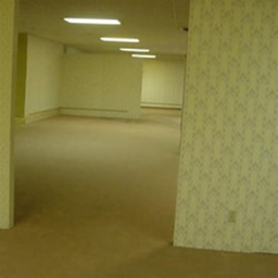 ESCAPE THE BACKROOMS NOW!