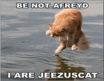 JEBUS CATZ!