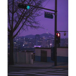 Violet's Blue