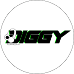 The Diggyzs Groupp