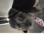 Looooooooooooooooooooooooooo
