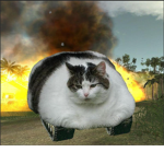 augg ie awesome