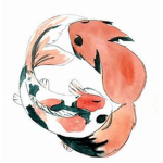 Koi Fish Studio