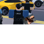 Havoc's Wallet