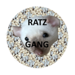 Gang Ratz