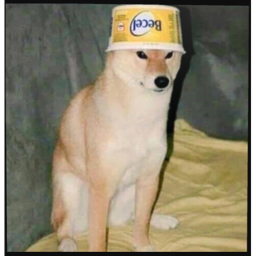 Roblox_robertYT fan club's Place Number: 0
