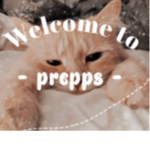 < prepps >