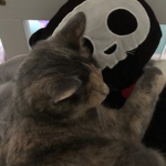 Baddy Kitty <3