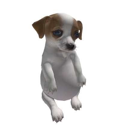 🦴PERRO PANZON 🐾