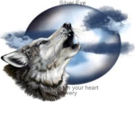 Silver Eye
