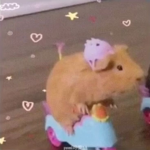 Luke’sRatGroup