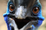 #BIRDSQUAD!