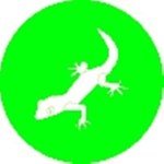 The Geko Fan Club (come join!)
