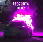 $Luxuriou$<3