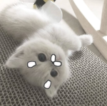 /yukio