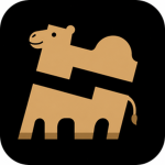 CamelxStudio