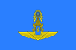 Royal Thai Air Force.