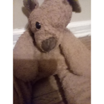 If you love bears Join the group