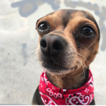 Dynamic UGC