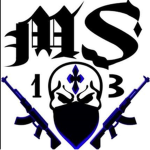 MS 13 GANG