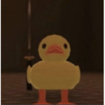 x i c o n i c