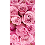 Liv rose fan group