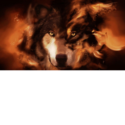 wolf of fire's Place Number: 3