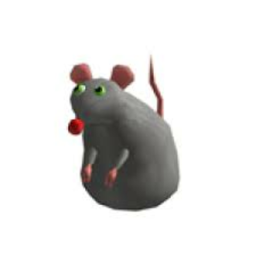 Run from the rats