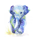 Team Elephants For Life