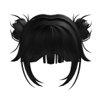 Double buns w/ black gradient