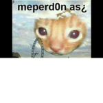 Fans del agua de UwU