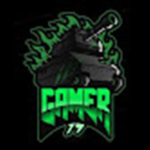Gamer 79 INC