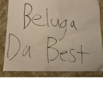 TheBelugaSqaud