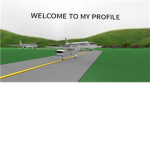 Delta Airline Fans Of Roblox