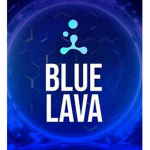 BlueLava Group
