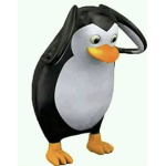 AW PENGUIN RAIDERS
