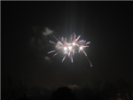Firework Gang