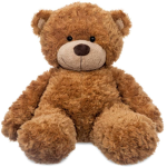 Teddy *fan club*