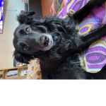 Zoe la giocherellona