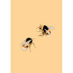 Bumblebee_Aesthetic
