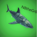 the white sharks and rats and bats