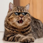 CatPlay