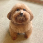 PuroPapeador