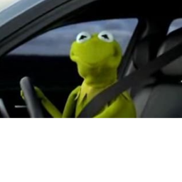 Kermit Race